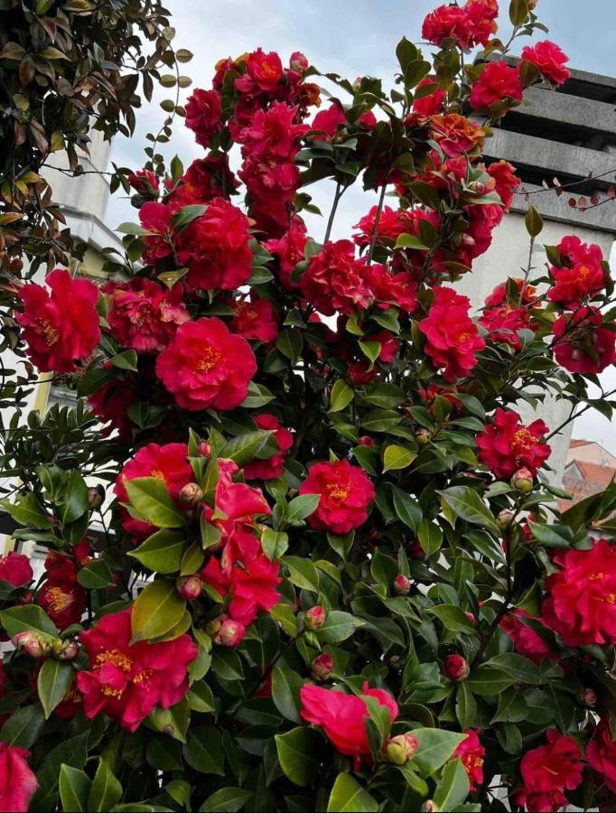 Giresio 41 - Your Penthouse With Rooftop Garden In Milano Navigli - Wifi 외부 사진